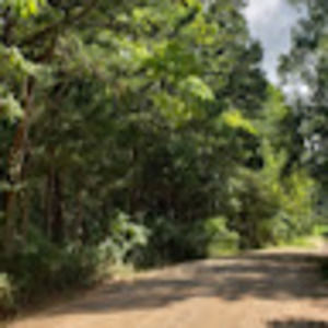 Meet your Posher, Sweet